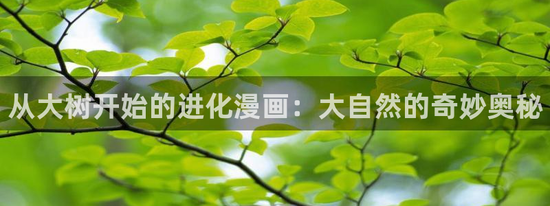 香香漫画韩漫