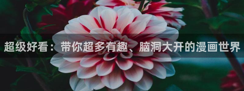 香香漫画官方版正版 链接