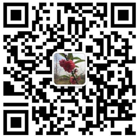 东莞九游会j9机械有限公司